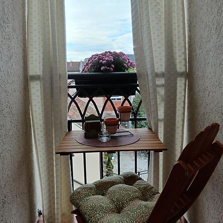 Apartman Element Kruševac Extérieur photo