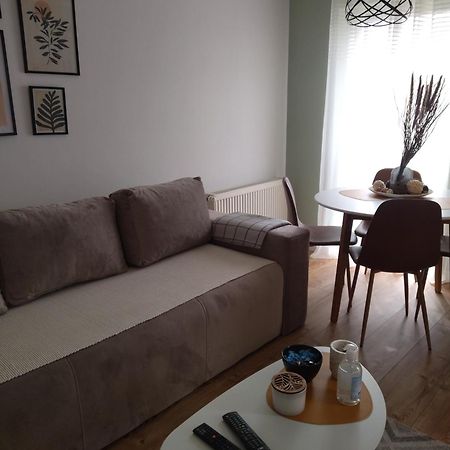 Apartman Element Kruševac Extérieur photo