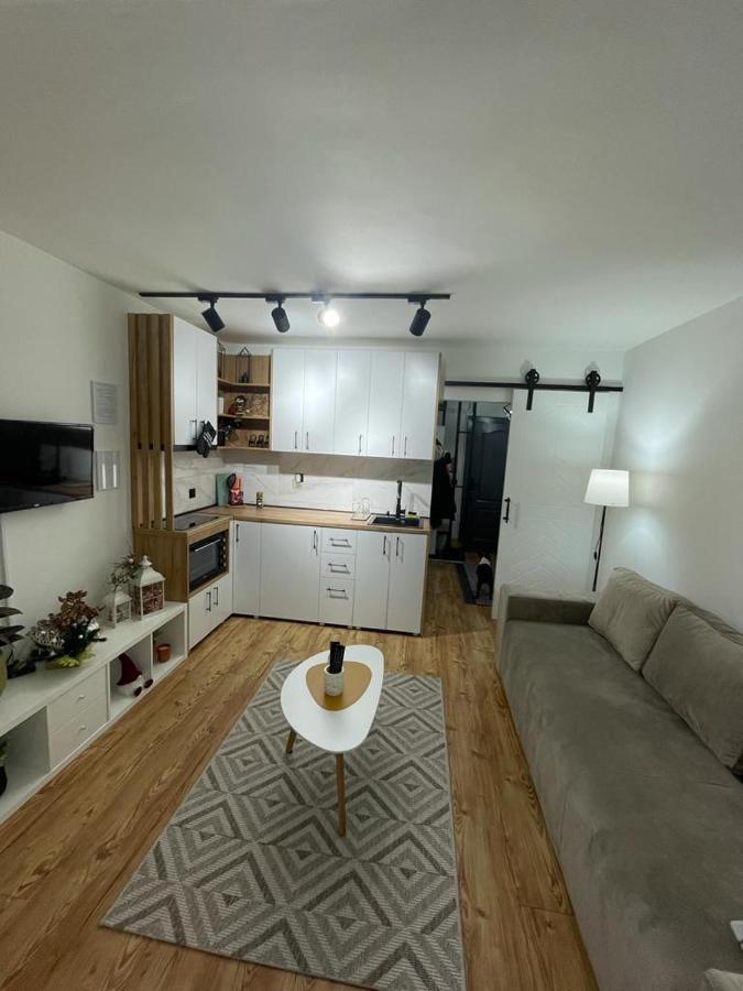 Apartman Element Kruševac Extérieur photo