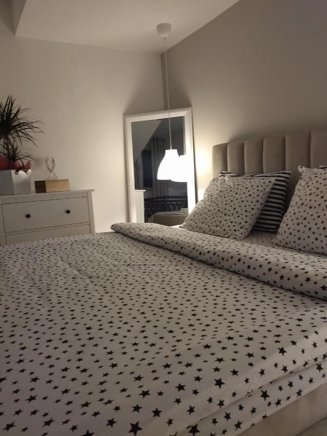 Apartman Element Kruševac Extérieur photo