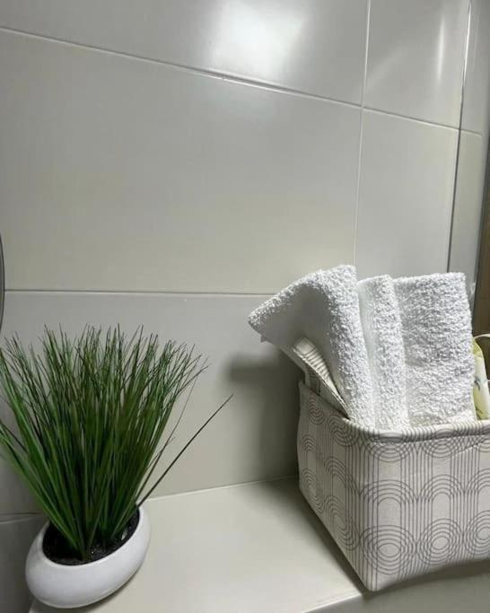 Apartman Element Kruševac Extérieur photo